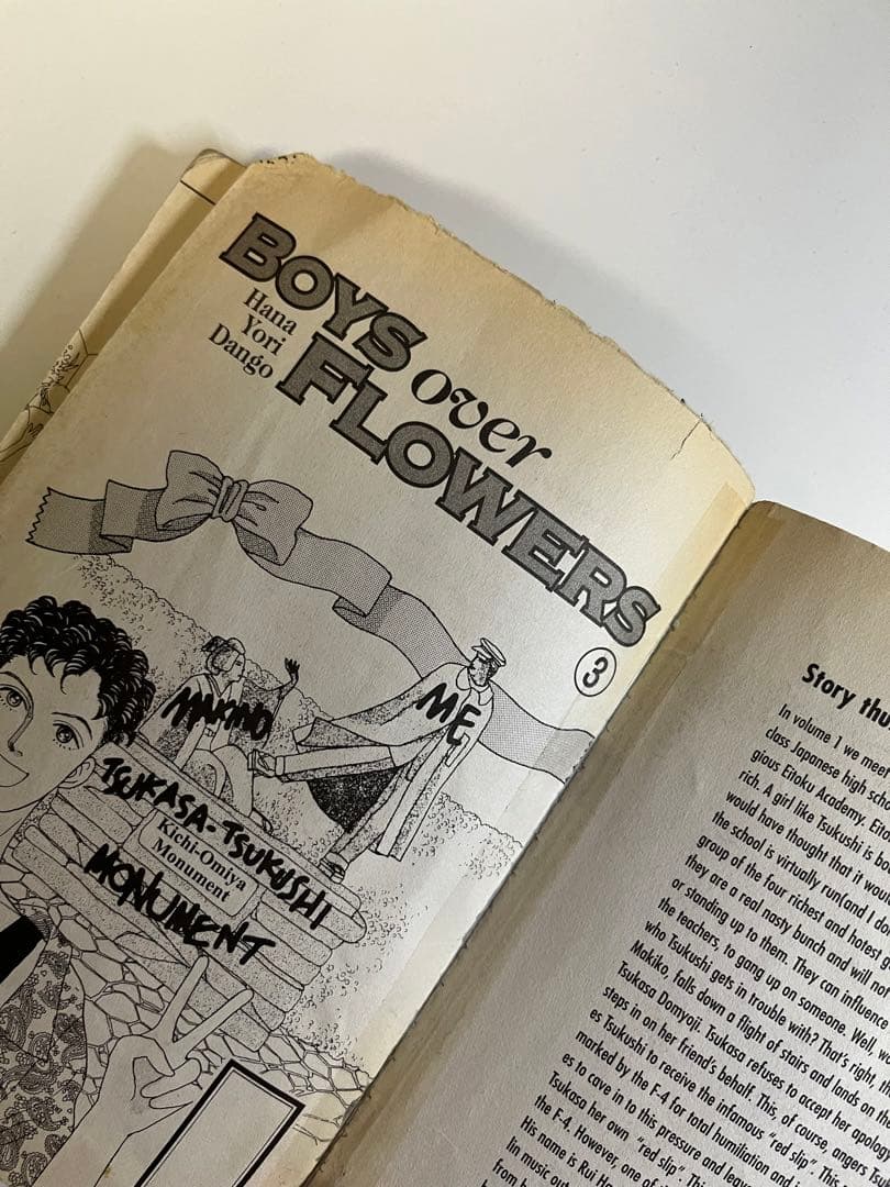Boys Over Flowers 花より男子 英語版 1-12巻セット