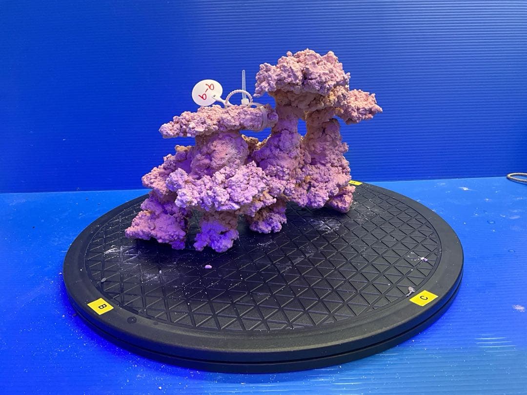 人工ライブロック　No.9-9 無害化処理済