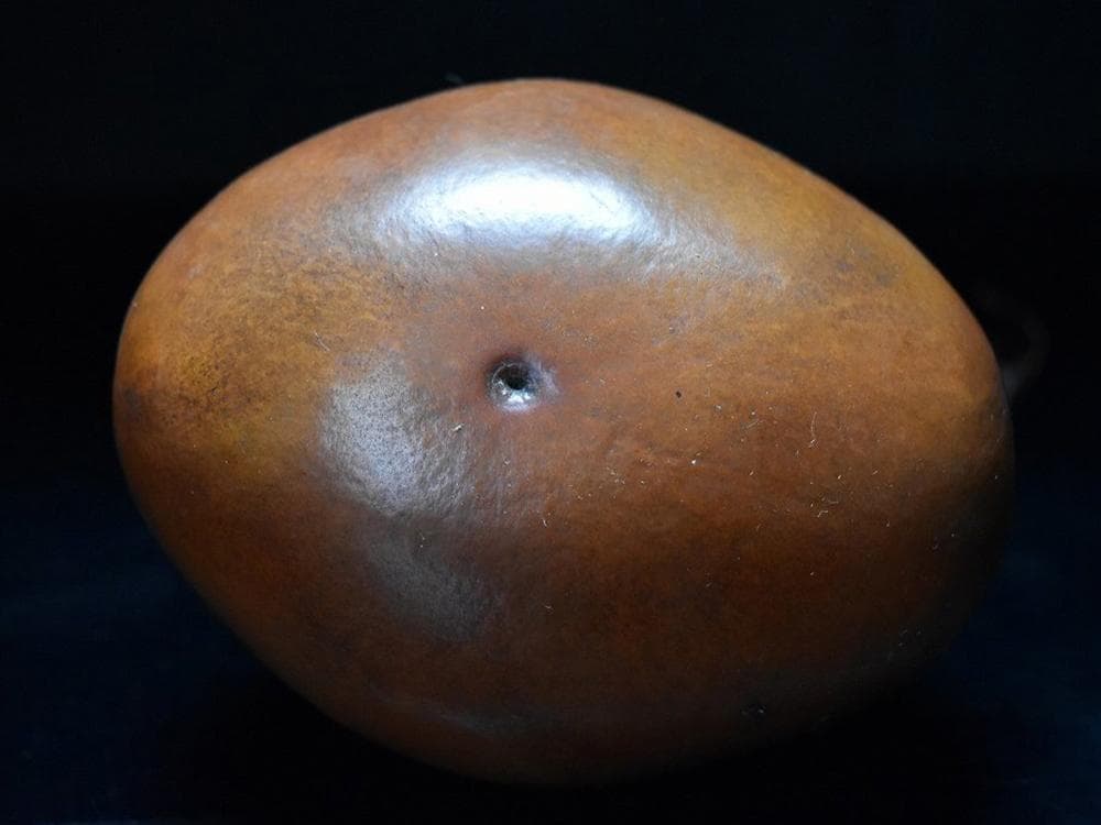 匏】 ☆ 匏器 文玩葫芦 ☆ 清朝期 長頸 茎付 経年色