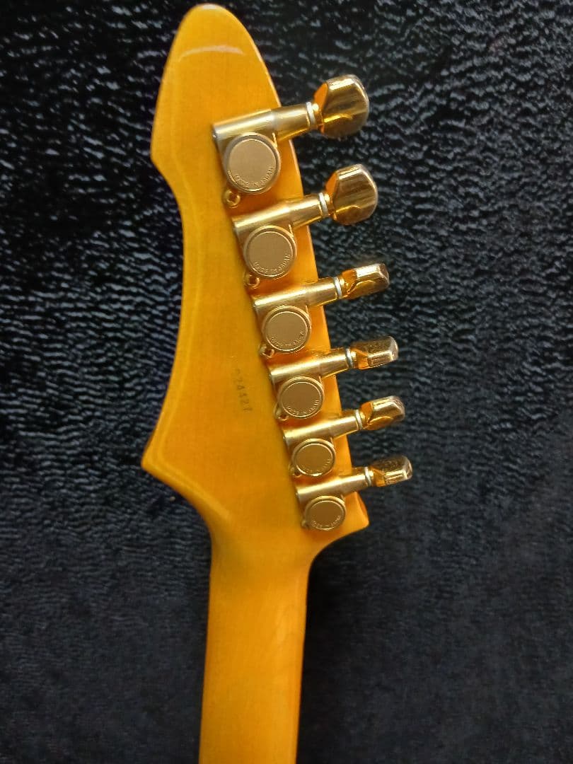 AriaproIIMAGNA Shires ソフトケースシールドストラップ付 楽器・機材