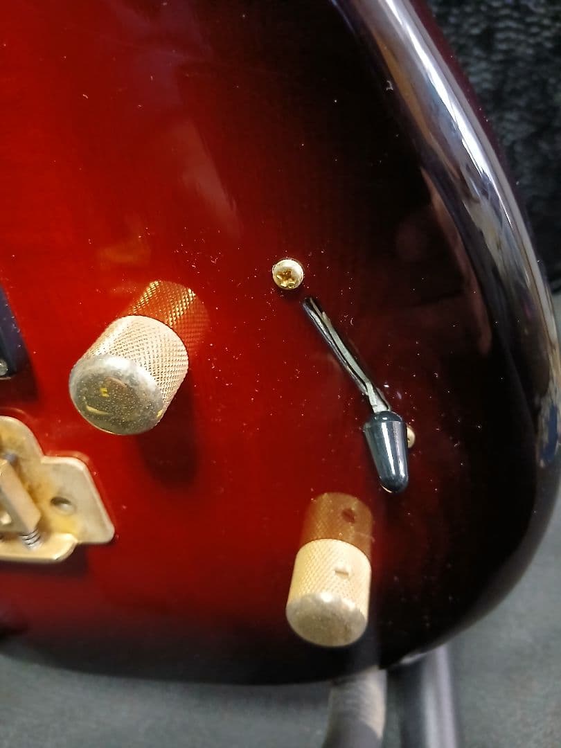 AriaproIIMAGNA Shires ソフトケースシールドストラップ付 楽器・機材