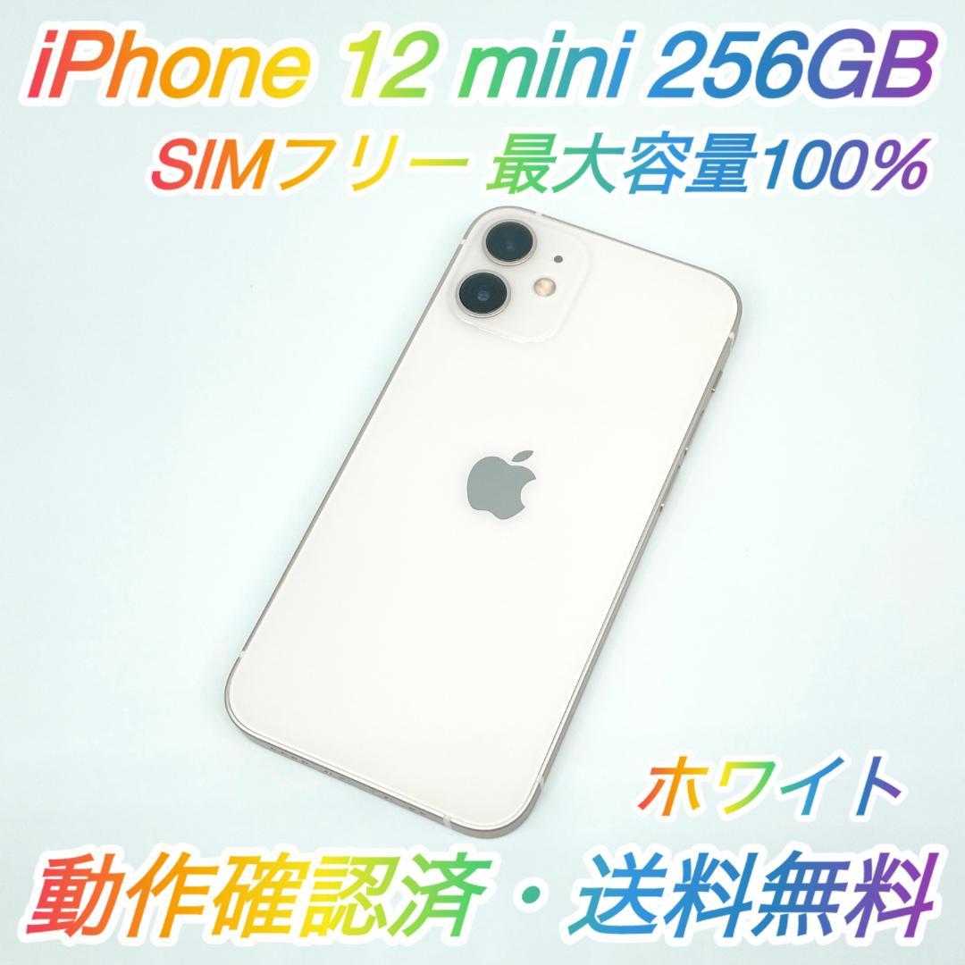 即配【美品】SIMフリー iPhone 12 mini 256GB 100％ ♪