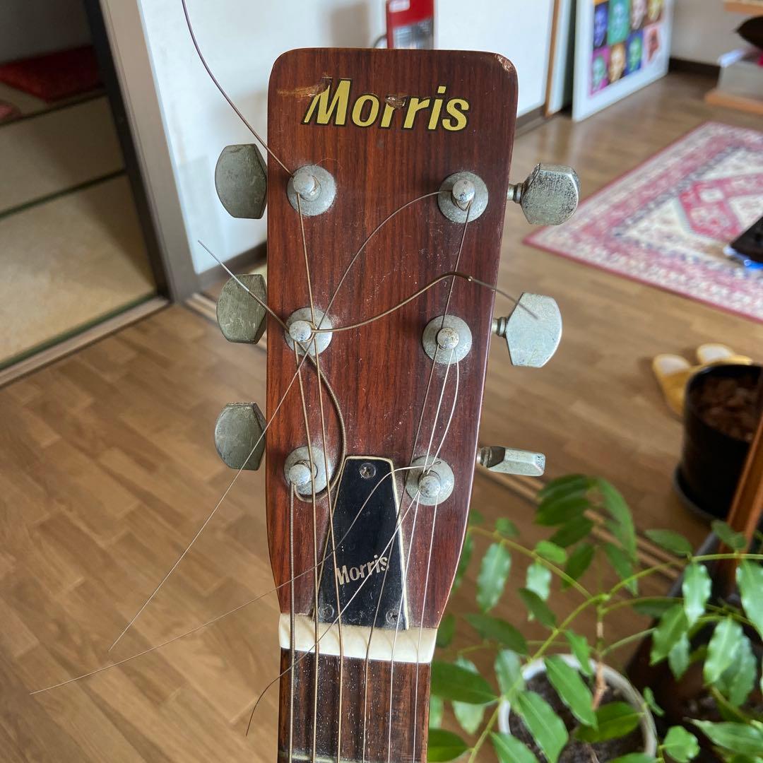 Morris W-20 アコースティックギター