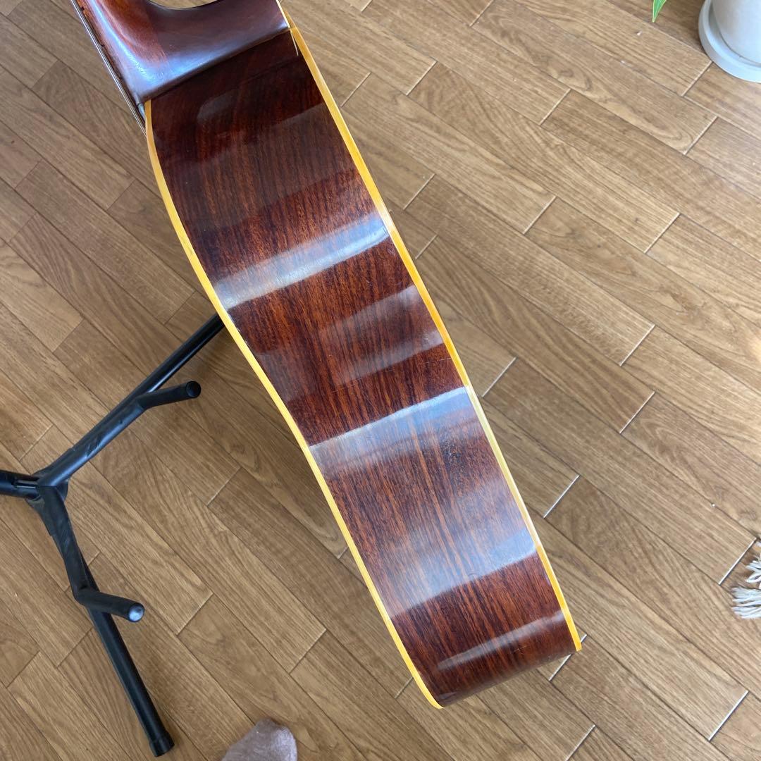 Morris W-20 アコースティックギター