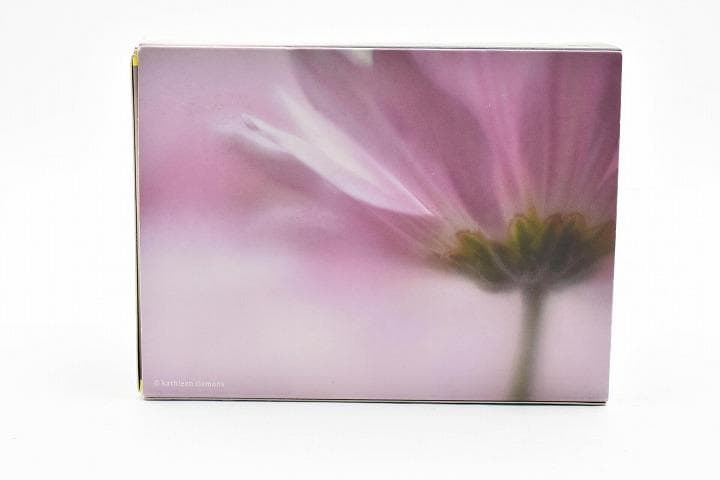 15258E ☆新品☆ レンズベビー 56mm F1.6 LENSBABY