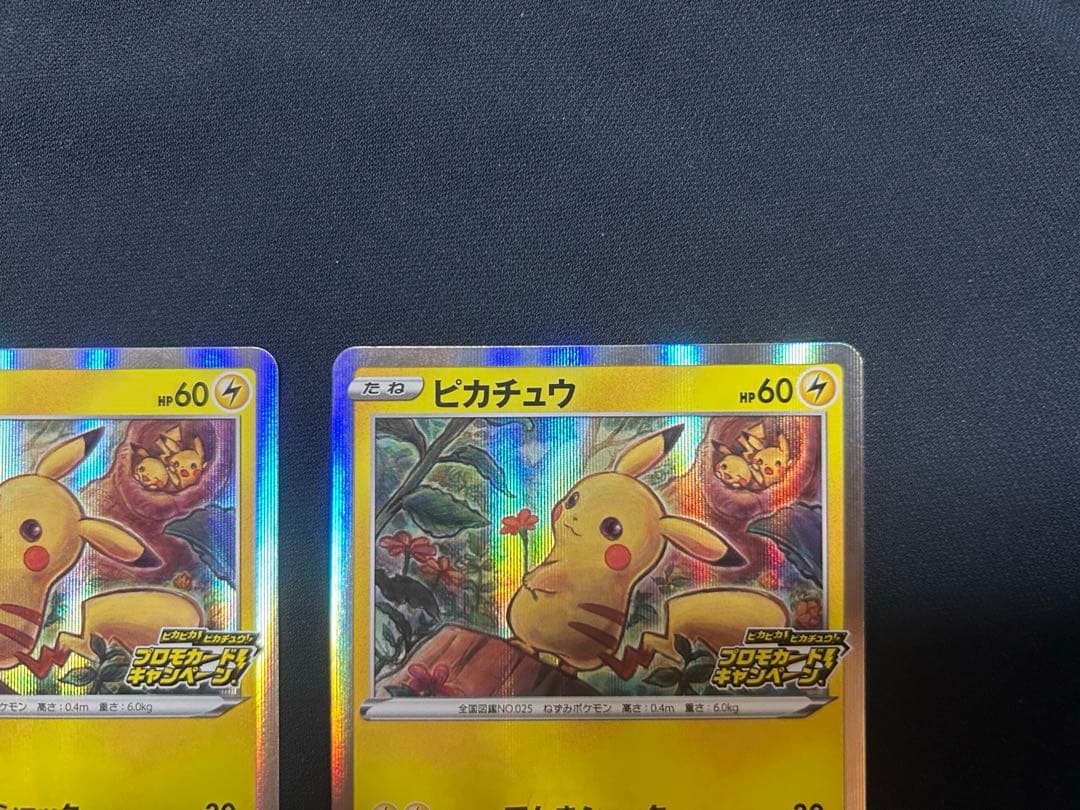 ピカピカ！ピカチュウ！2枚セット