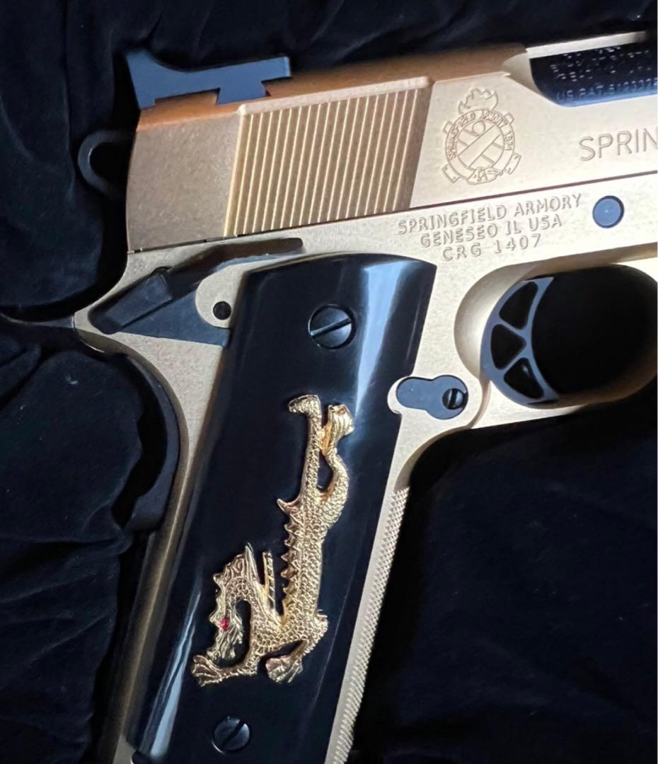 マニア必見新品！希少スペシャルエディション！黄金のガンムービー