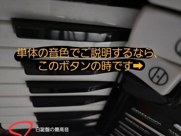 YAMAHA ヤマハ最高級モデル ヴィンテージ アコーディオン 34鍵80ベース
