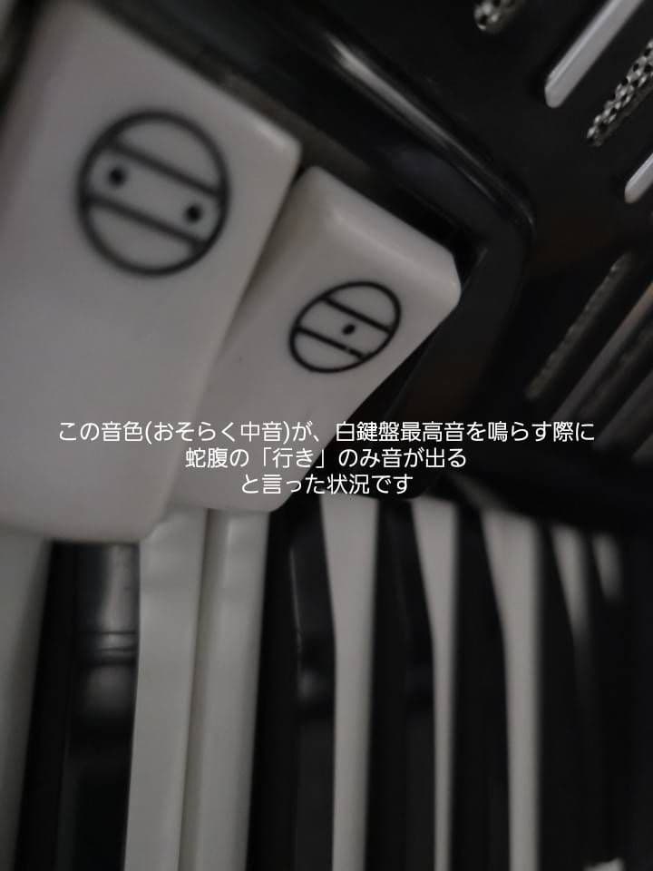 YAMAHA ヤマハ最高級モデル ヴィンテージ アコーディオン 34鍵80ベース