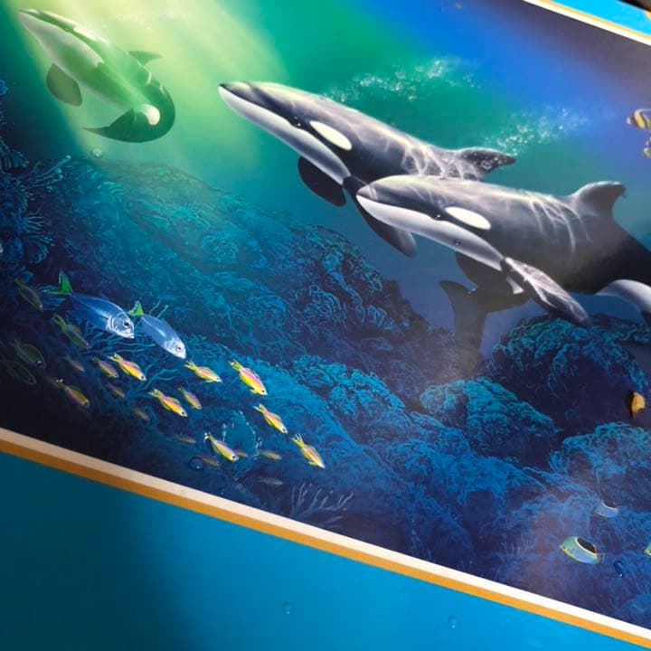 シャチ オルカ ラッセン パズル 光るジグソーパズル 72×49cm 未使用