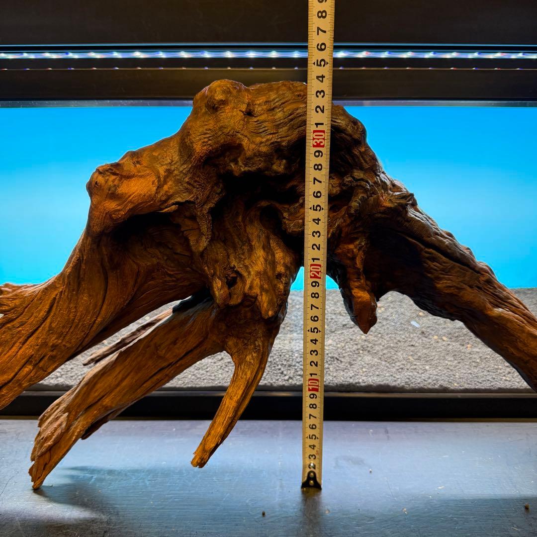 MRW-6797 特大赤系流木 アーチ流木 一点物 90cm水槽用