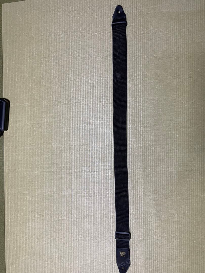 ZO-3ギター　ファイヤーパターン