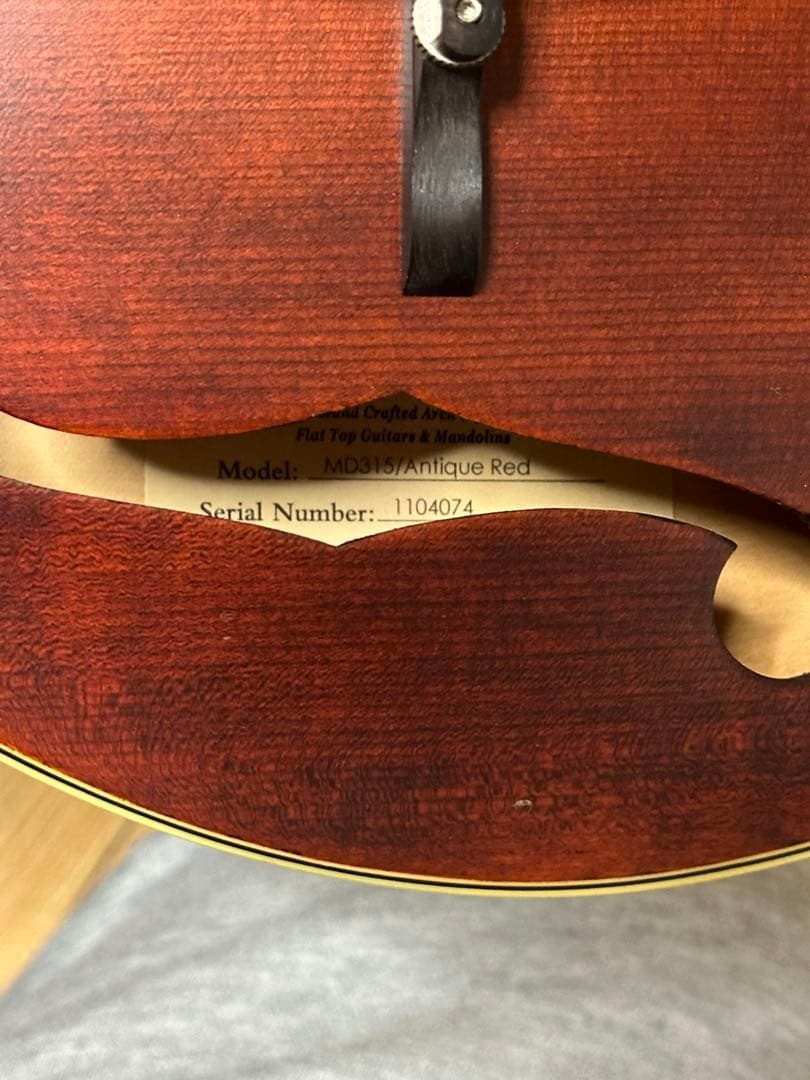 Eastman MD315/Antique Red 弦楽器