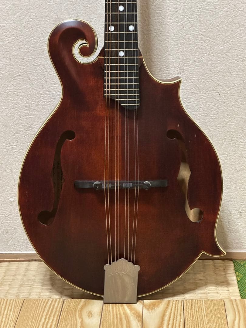Eastman MD315/Antique Red 弦楽器