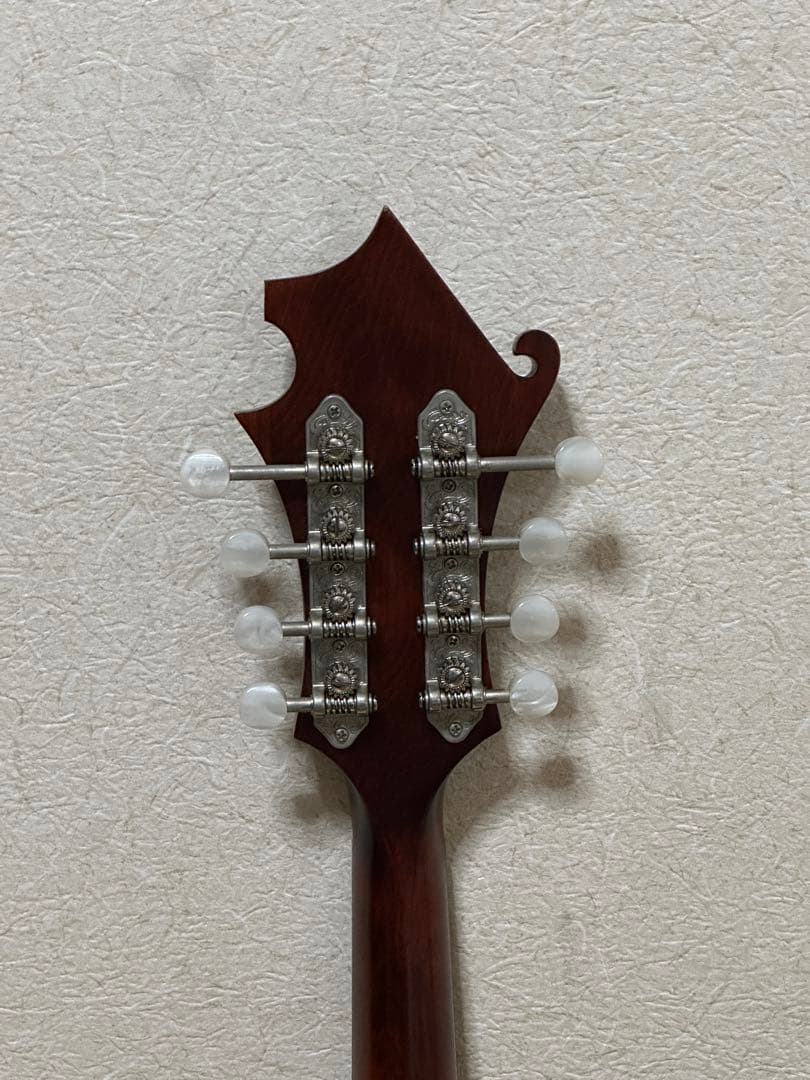 Eastman MD315/Antique Red 弦楽器