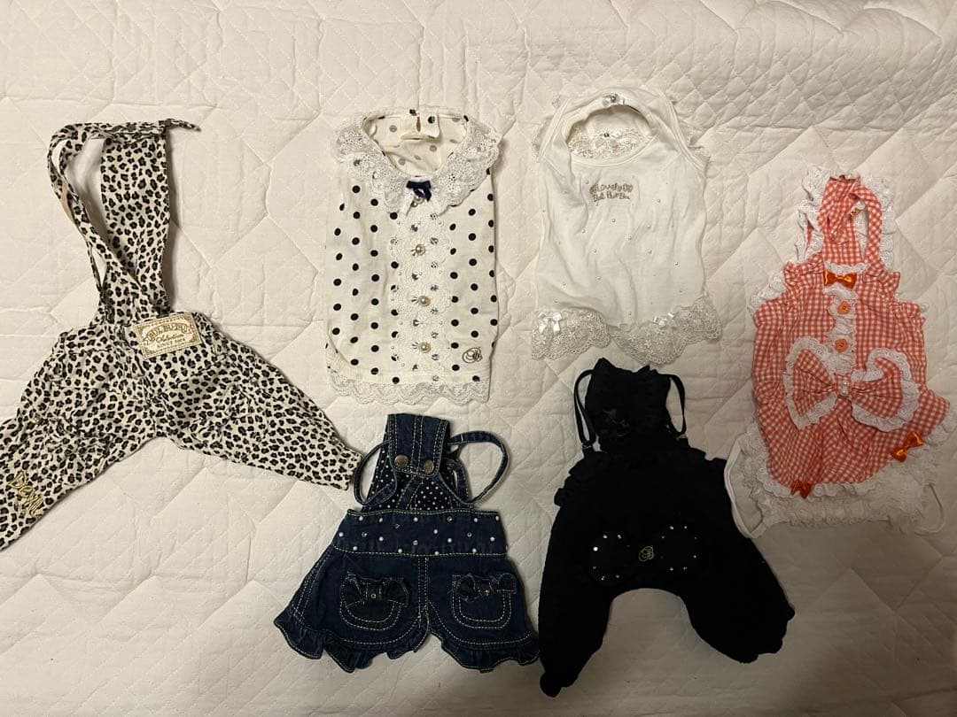 爬虫類シェルター 345 白マット×黒、ブルーとピンク、赤いヒトデ