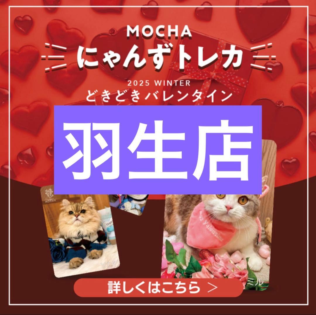 猫カフェmocha にゃんずトレカ どきどきバレンタイン 羽生店 - メルカリ