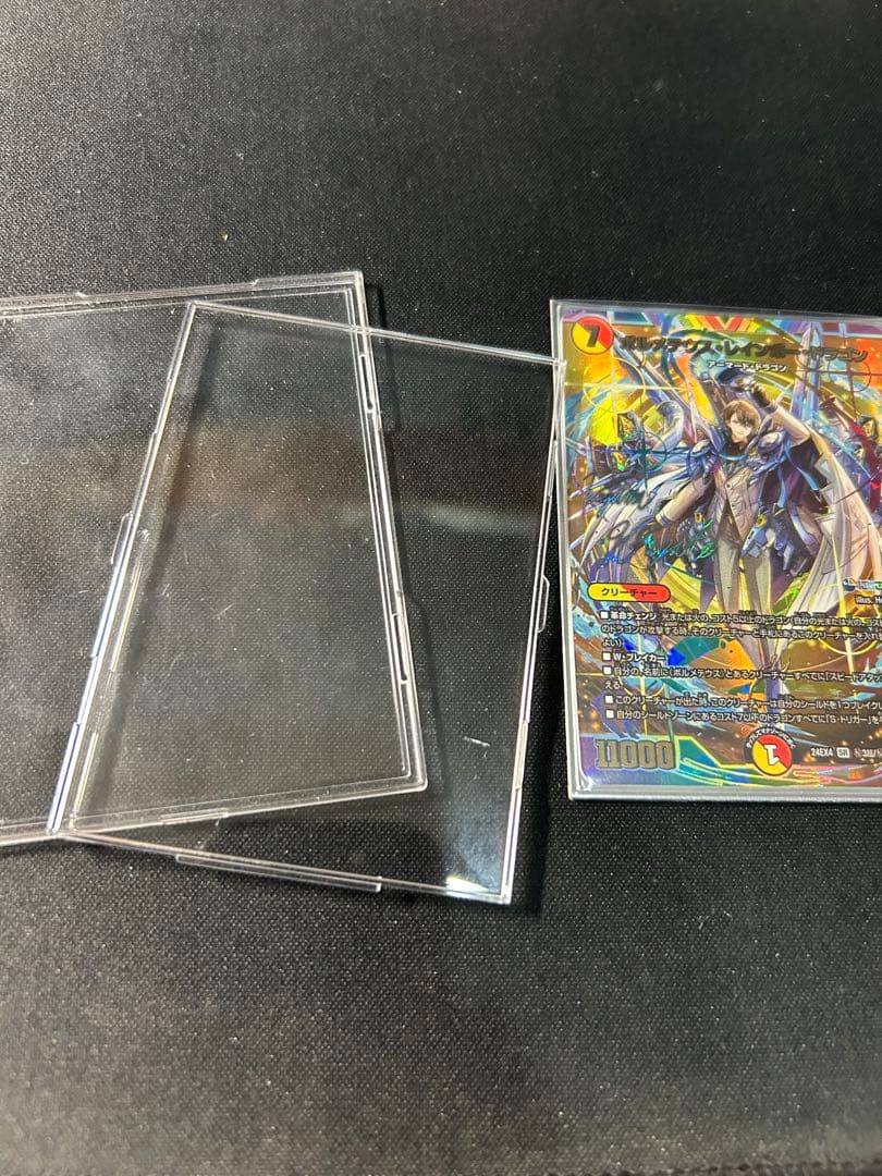 ボルメテウスレインボードラゴン(サインシク)