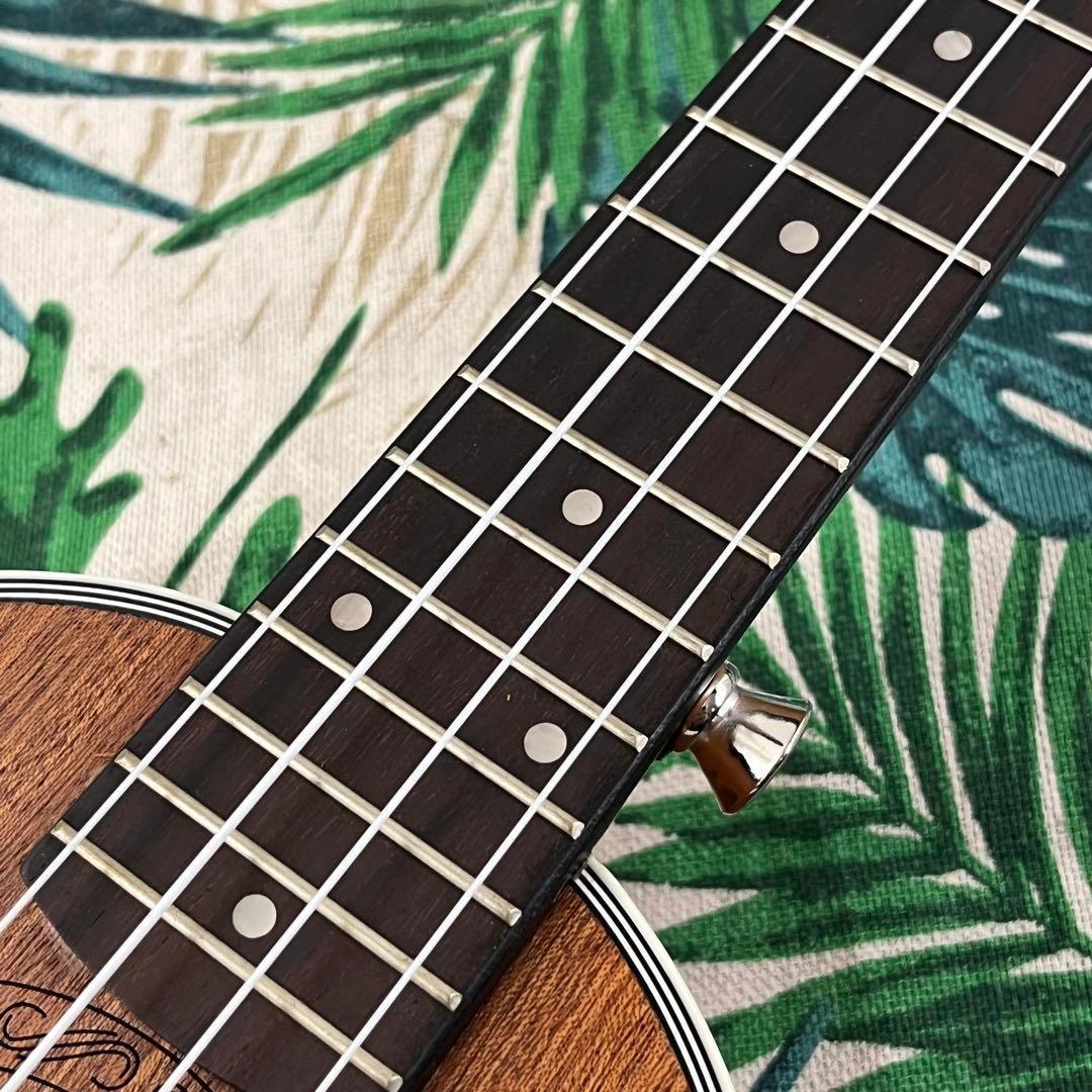 【入門セット】Deviser製のパイナップル・ソプラノウクレレ【ウクレレ専門店】