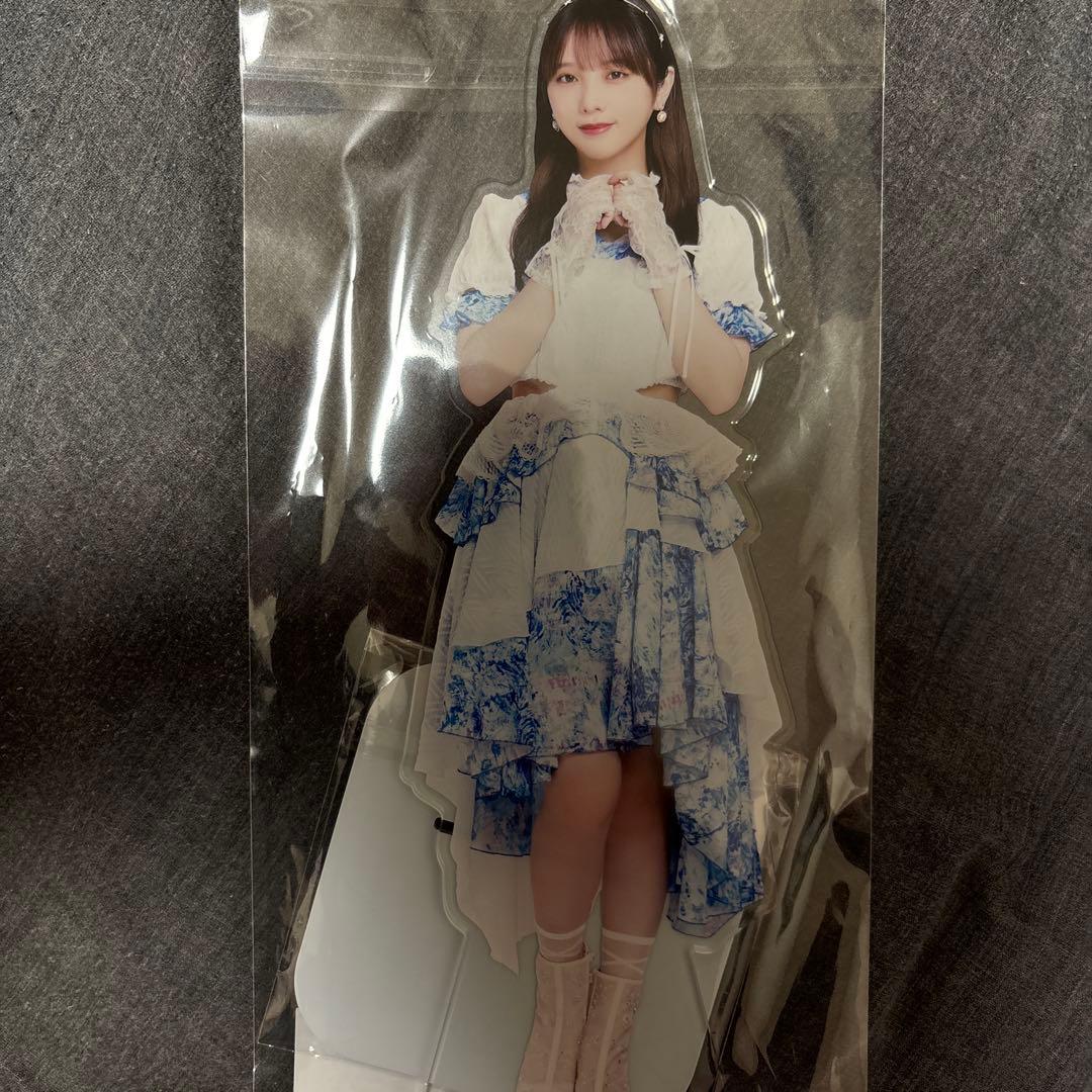 乃木坂46 与田祐希 BIGアクリルスタンド 2025.Lucky Bag