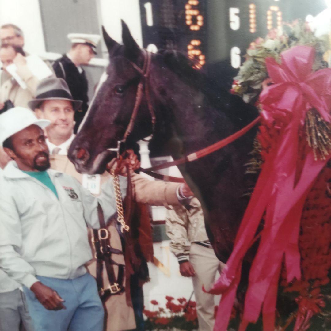 メジロファームさま専用 サンデーサイレンス ケンタッキーダービー