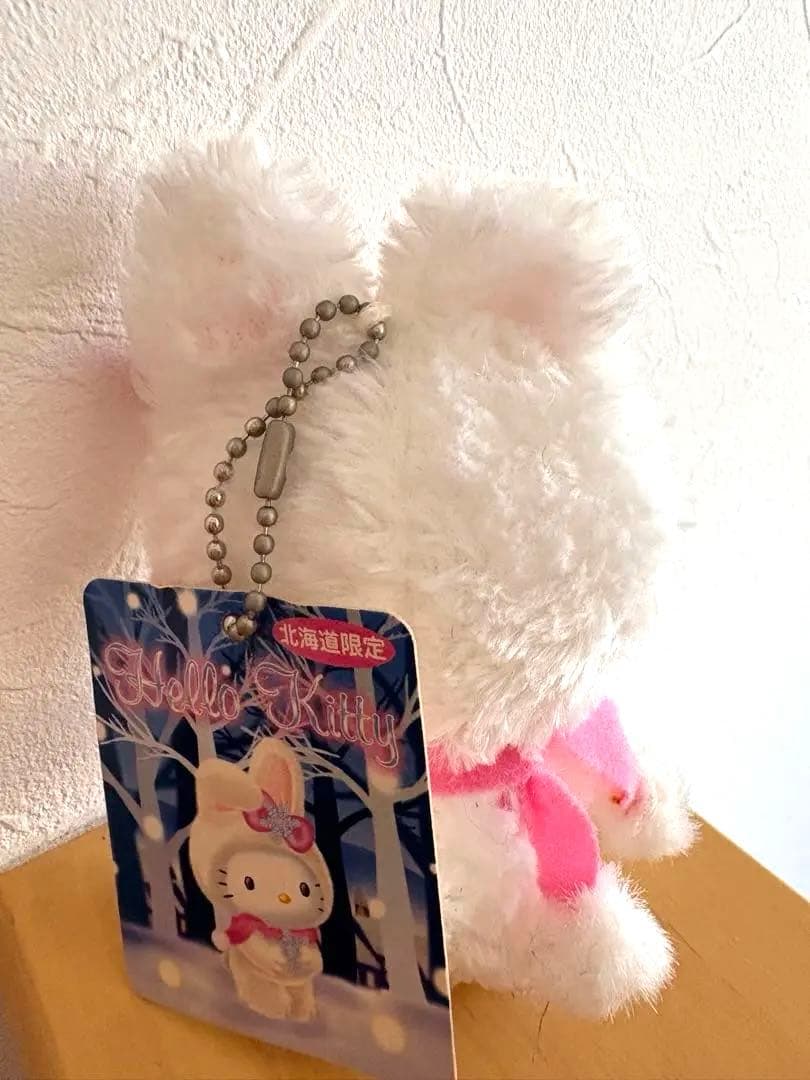 激レア！雪うさぎキティがいっぱい〜‼︎北海道限定　ご当地　平成レトロ　サンリオ