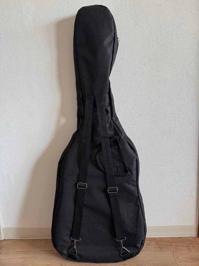 ギター VERIAX STANDARD