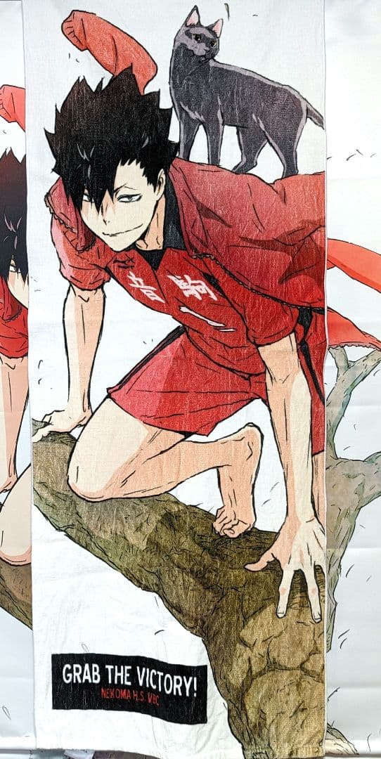 黒尾鉄朗 描き下ろし タペストリー フェイスタオル