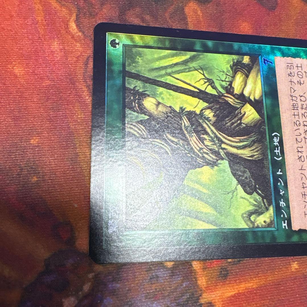 Foil】《繁茂/Wild Growth》[7ED]日本語版