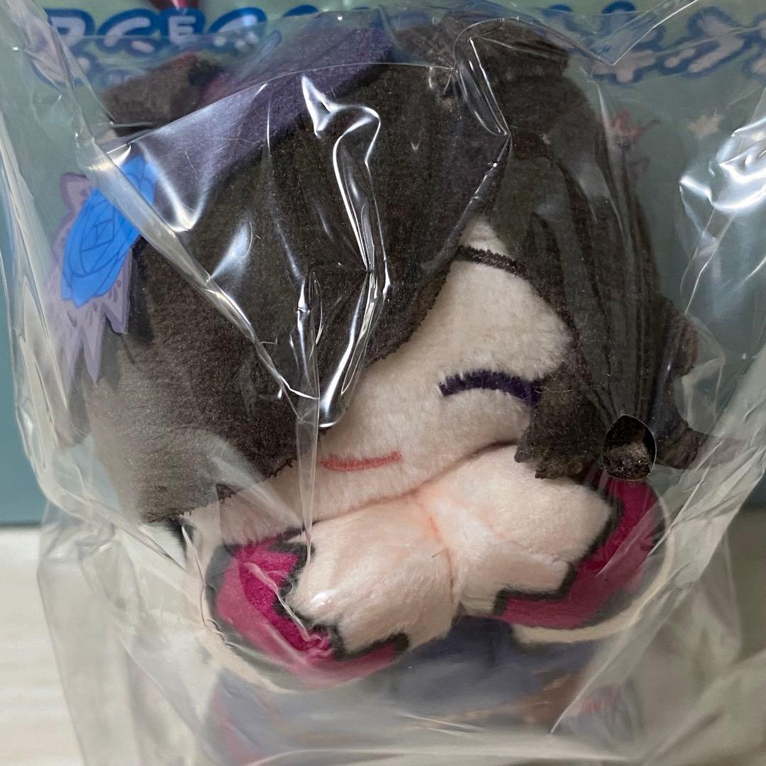 ウマ娘　はぐキャラコレクション2 未開封BOX アニメイト特典付