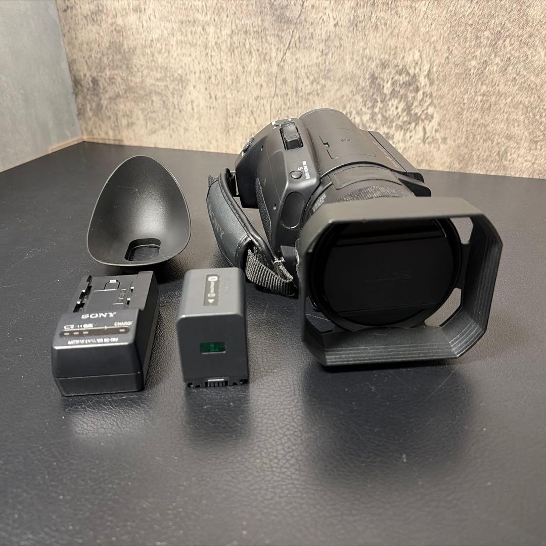 ソニー SONY 4Kビデオカメラ Handycam FDR-AX700
