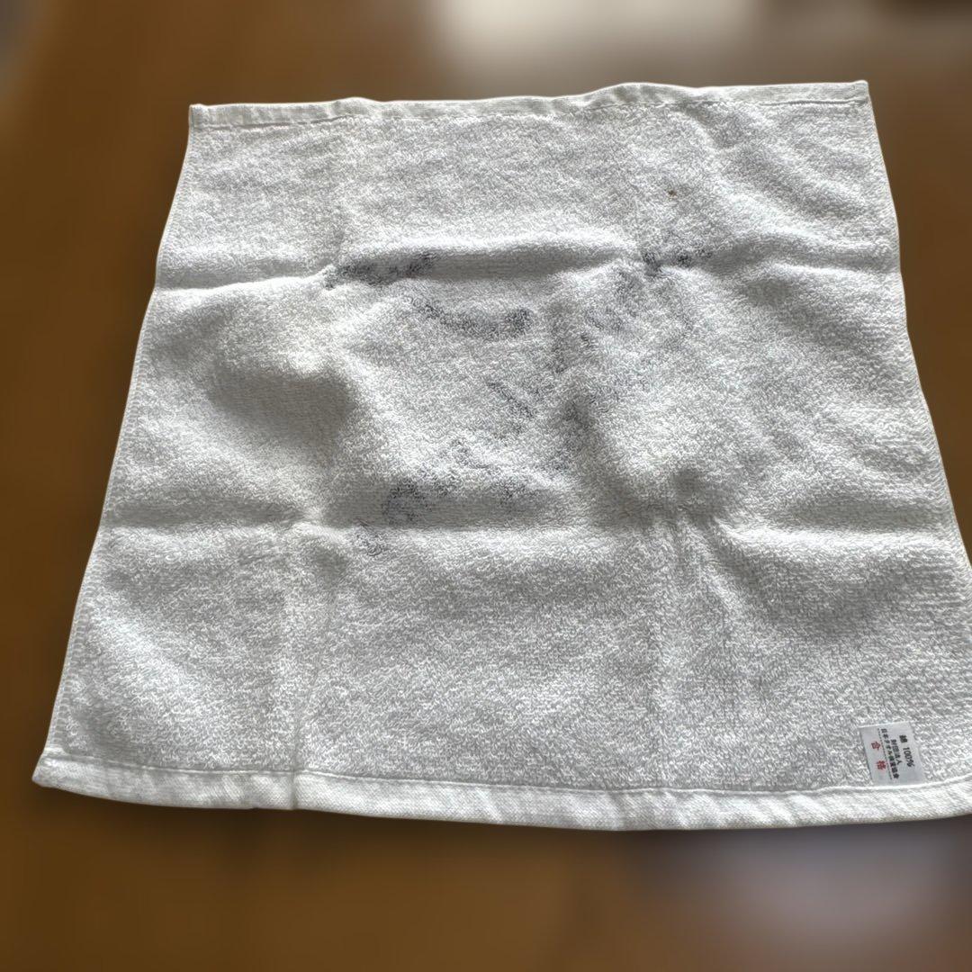 Miho Nakayama コンサートツアータオルセット