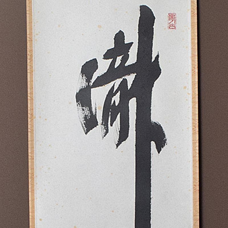 eyeknow74様専用 掛軸 前大徳福本積應筆 一行書瀧 共箱 C 7689G - メルカリ