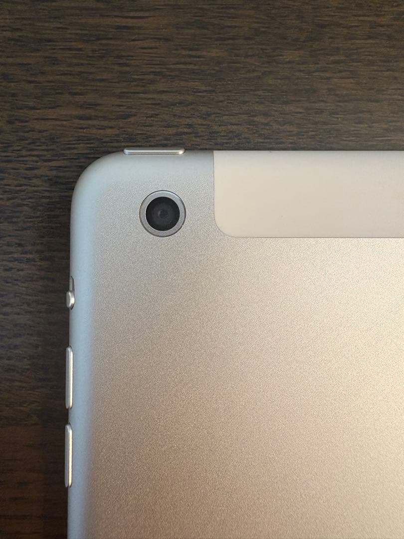 ずいAppleiPad 本体 第1世代セルラーモデル256GB ジャンク品 iPad Air