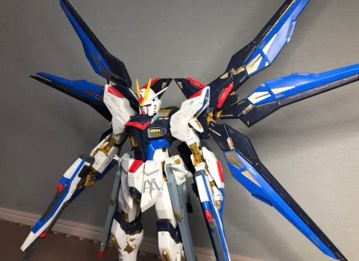 PG ストライクフリーダム 無塗装 - メルカリ