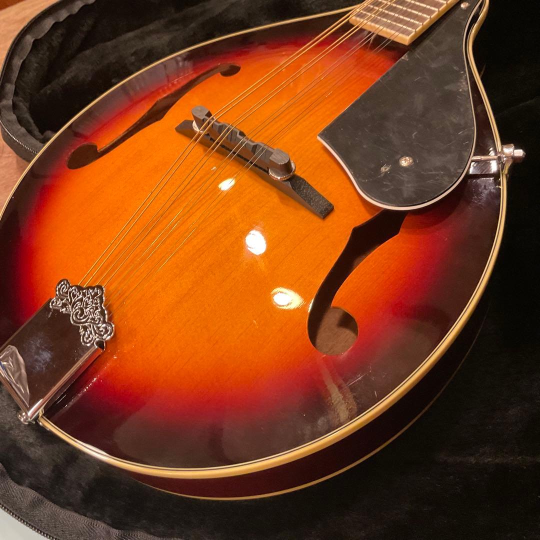 み*と様 極美品！BLANTON ( ブラントン ) BM-20A フラットマン