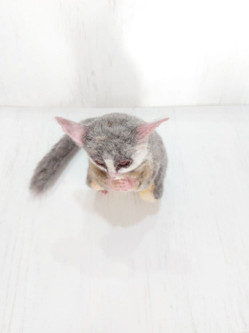 羊毛フェルト ショウガラゴ