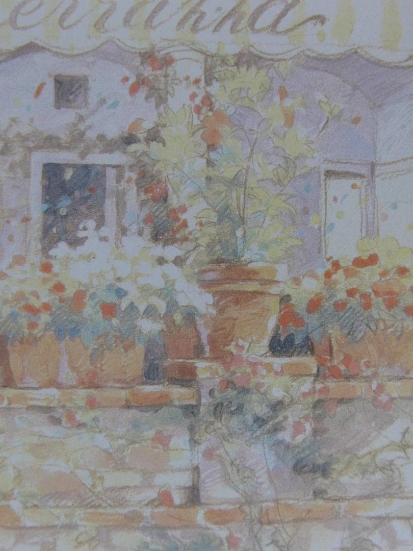 笹倉鉄平、【鉢植えのテラス】、希少な額装用画集より、状態良好、新品額装付