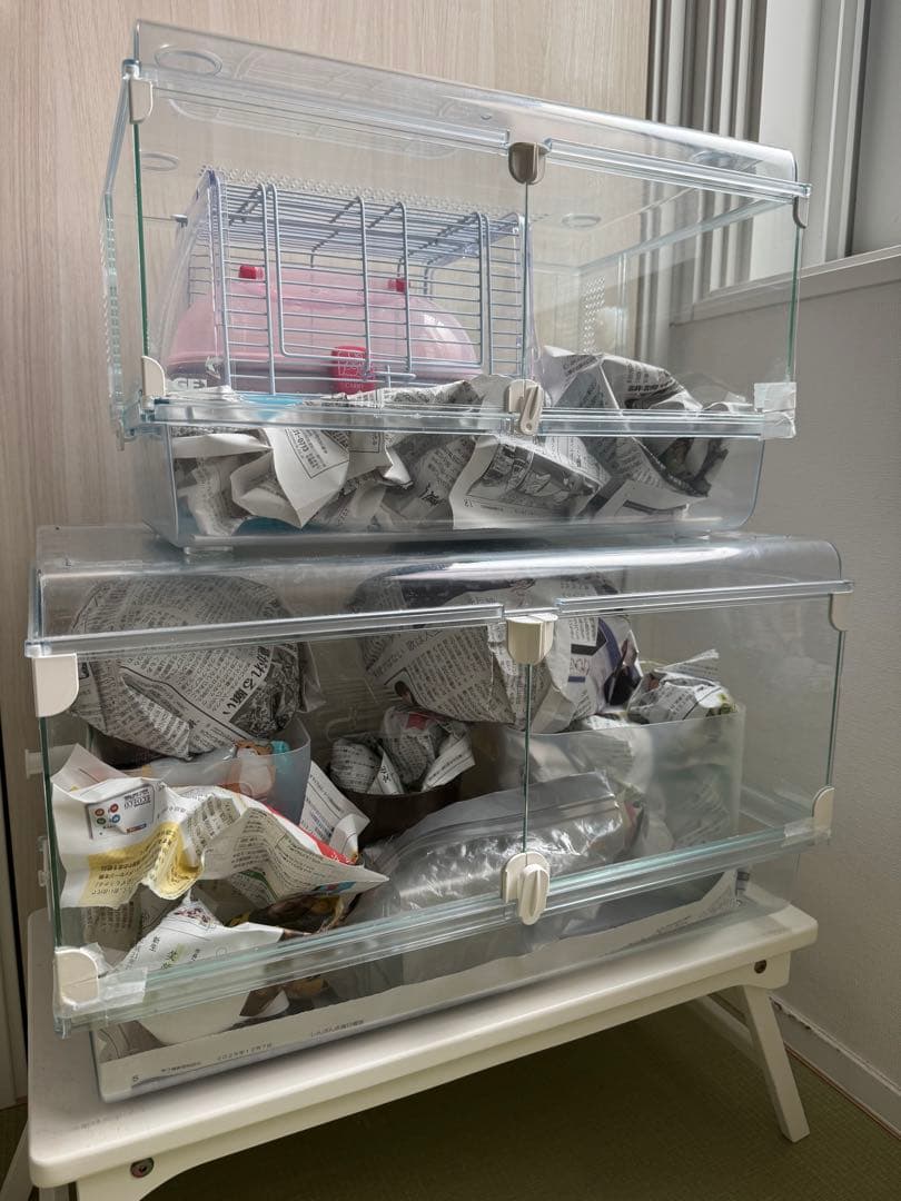 ハムスター2匹すぐ迎えられるセット