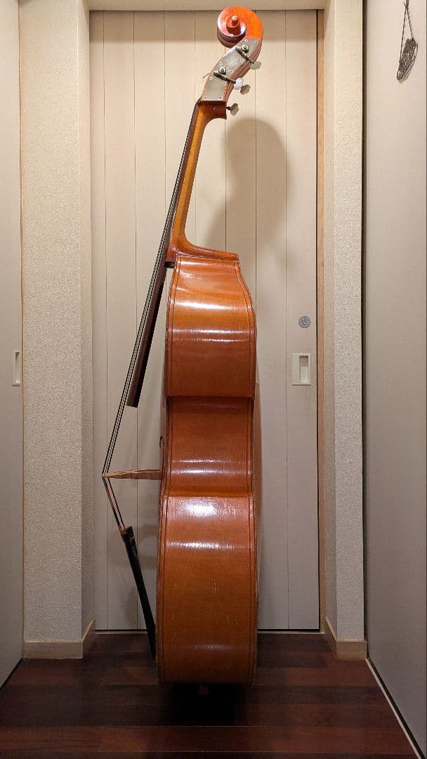 コントラバス クレモナ No.80 黒弦 - メルカリ