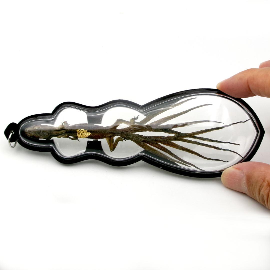 タイ お守り 9尾のトカゲ ヤモリ ギャンブル ビジネス運 現地購入の