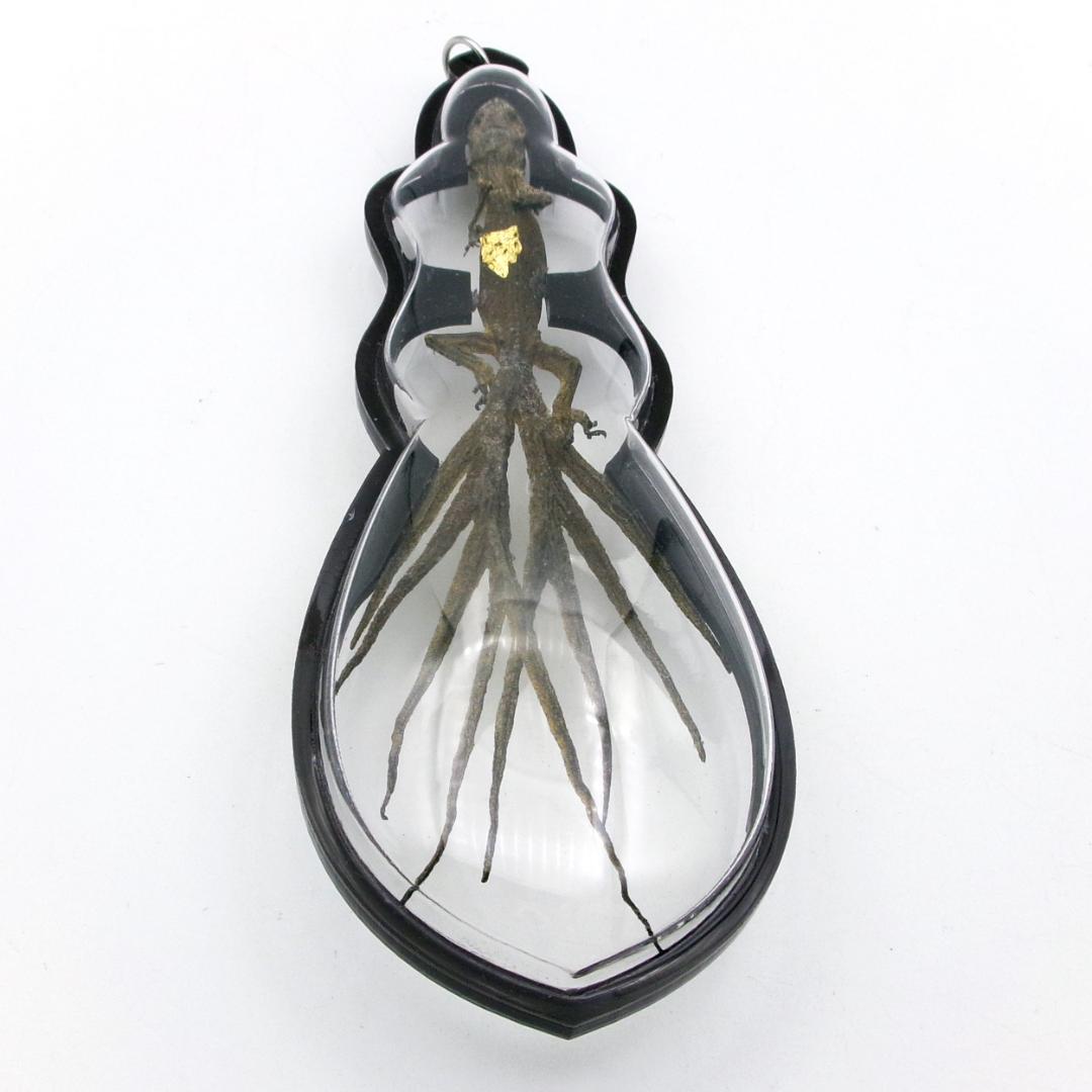 タイ お守り 9尾のトカゲ ヤモリ ギャンブル ビジネス運 現地購入の