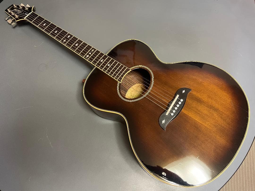 Aria Elecord FE-60 エレアコ Aria FE-60 Elecord - What To Know & Where To Buy | Equipboard