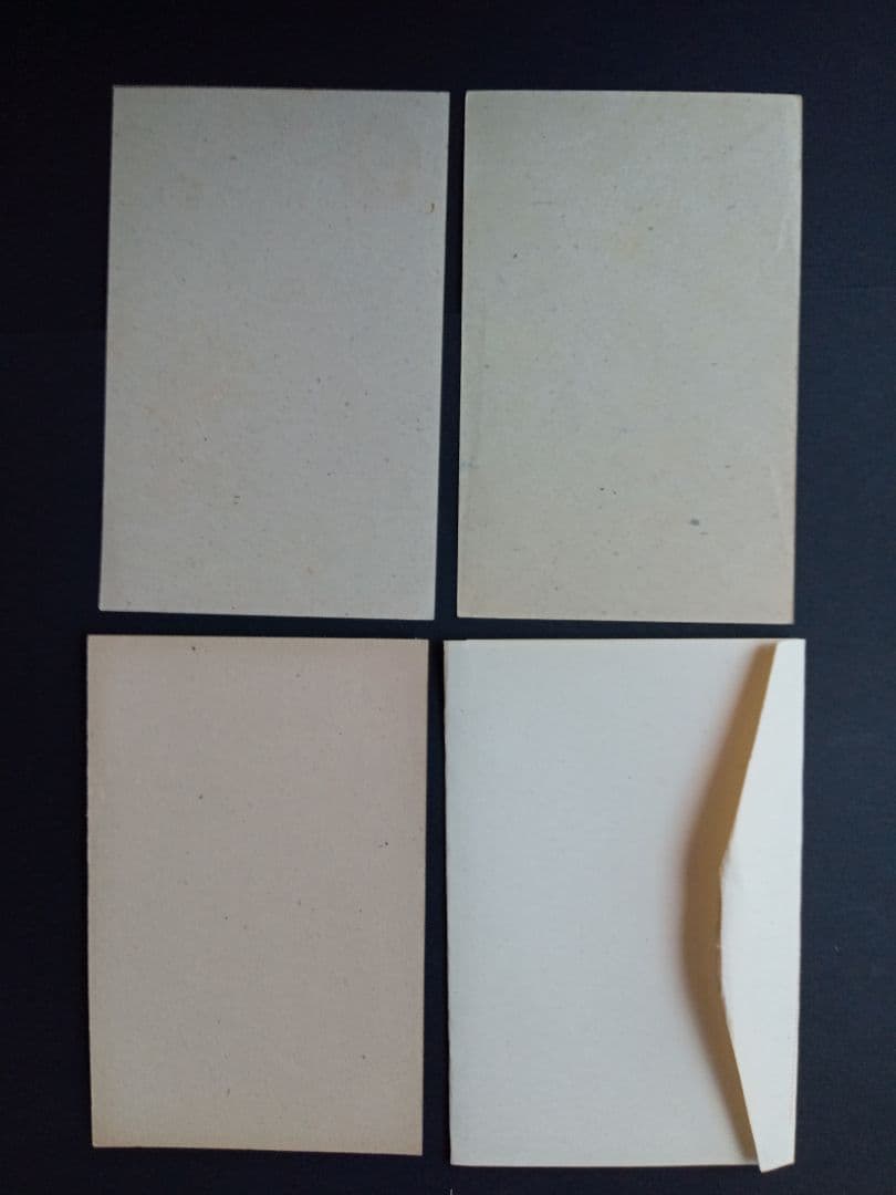 まとめ売り☆琉球郵政時代ハガキ類☆デイゴやガジュマルハガキ