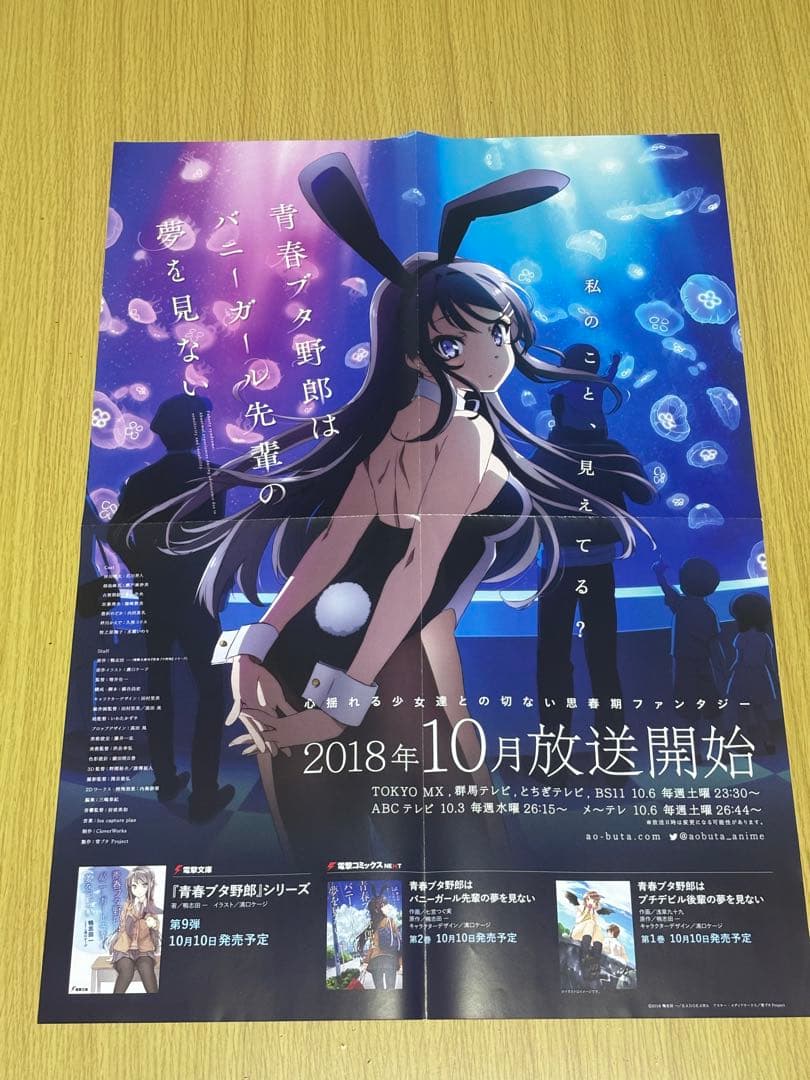 青春ブタ野郎はバニーガール先輩の夢を見ない ポスター - メルカリ