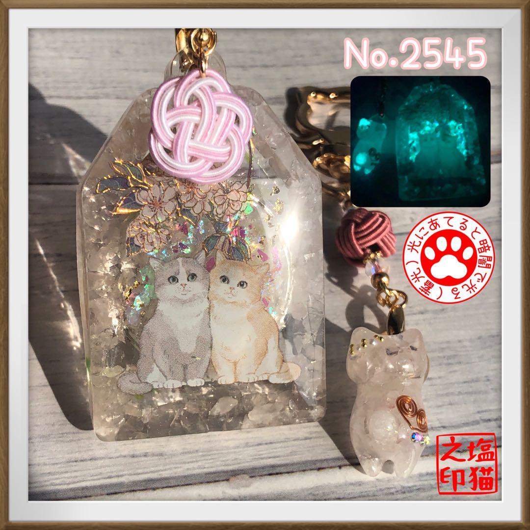 桔梗 サマ♡10点☆6/1