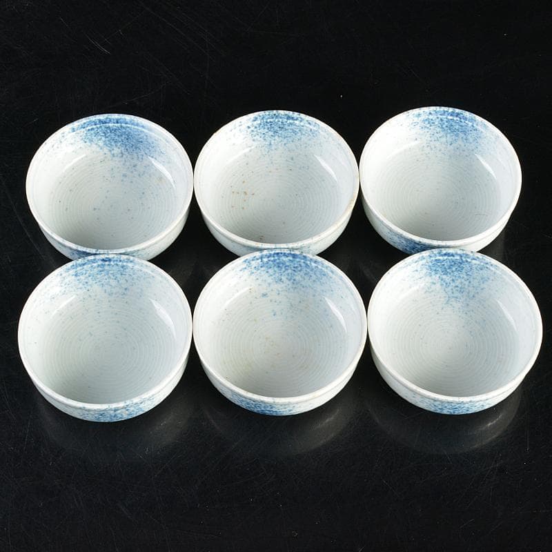 和食器 染付 吹墨文小皿 十二客 書付箱 V R7437