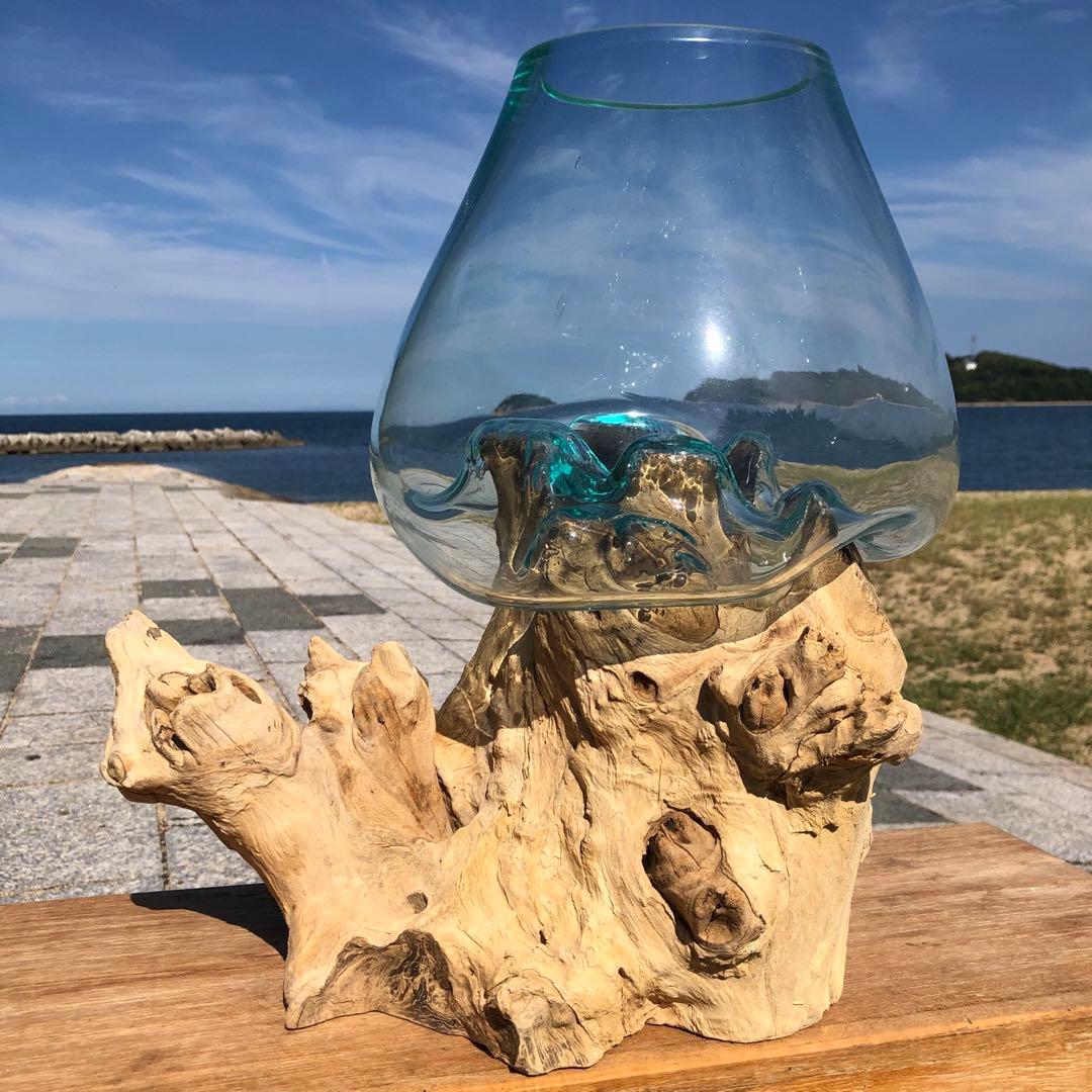 流木ガラス オブジェ特大V 花瓶 金魚鉢 ガーデニング テラリウム 観賞