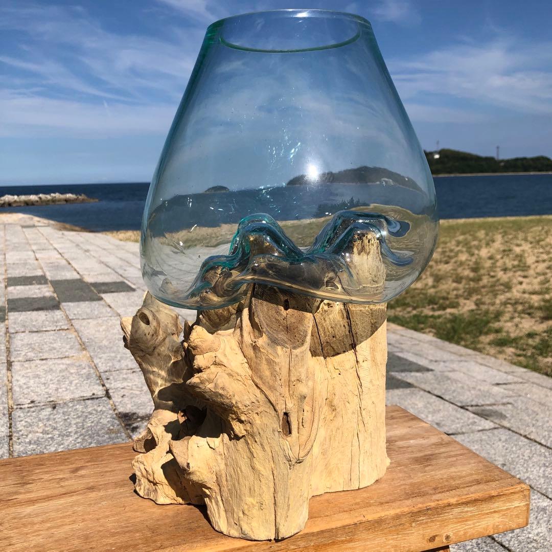 流木ガラス オブジェ特大V 花瓶 金魚鉢 ガーデニング テラリウム 観賞