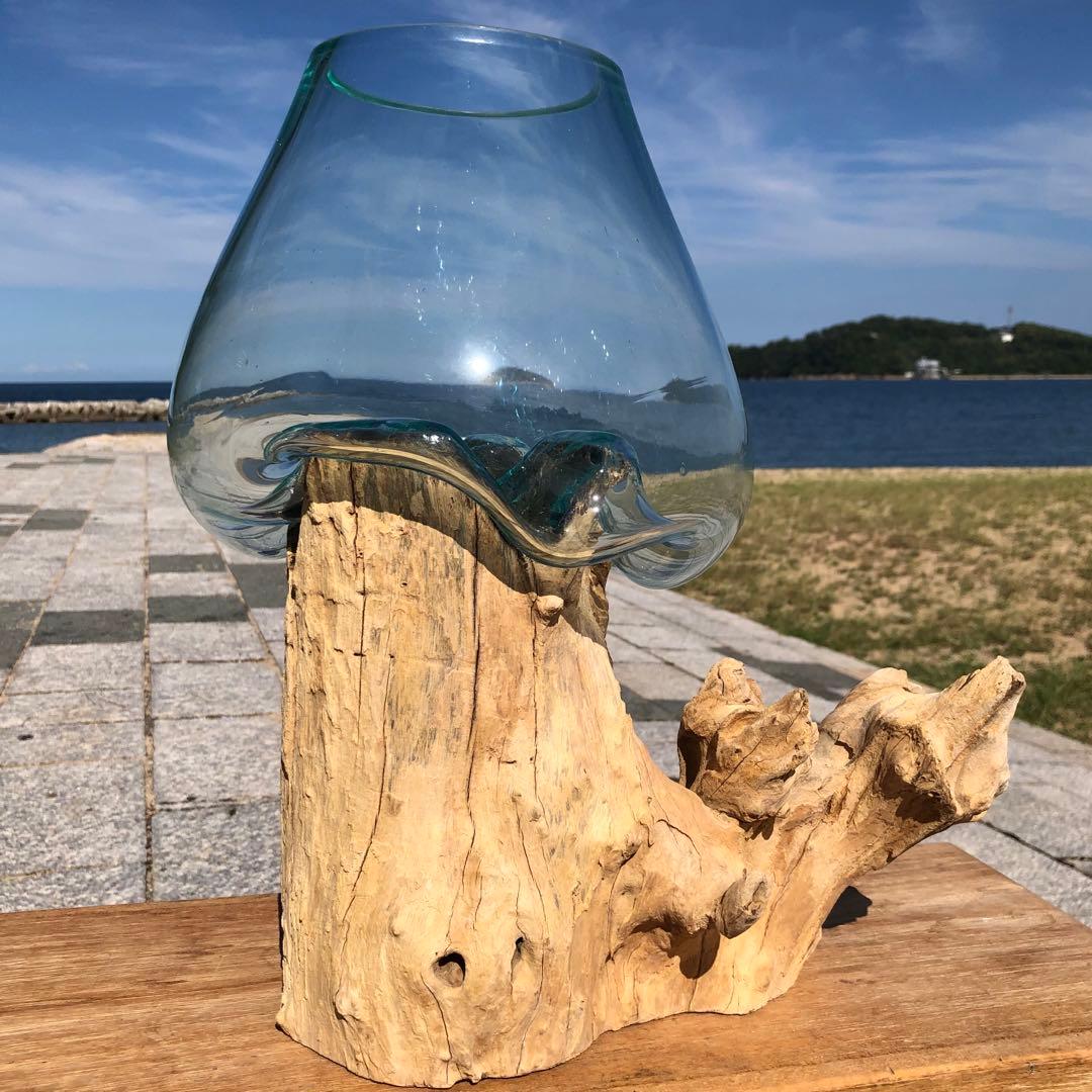 流木ガラス オブジェ特大V 花瓶 金魚鉢 ガーデニング テラリウム 観賞